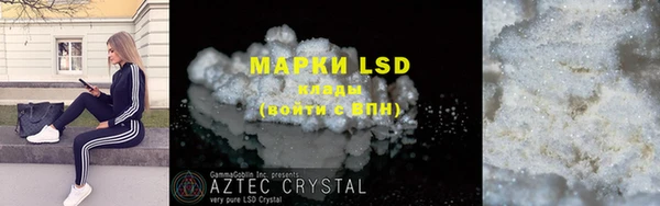 ПСИЛОЦИБИНОВЫЕ ГРИБЫ Михайлов