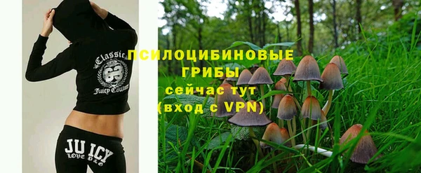 ПСИЛОЦИБИНОВЫЕ ГРИБЫ Михайлов