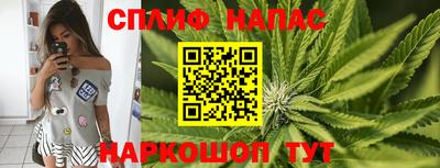 прущие грибы Берёзовский