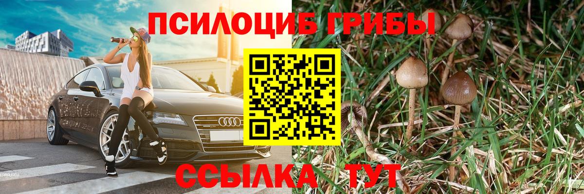 Псилоцибиновые грибы мухоморы Курган