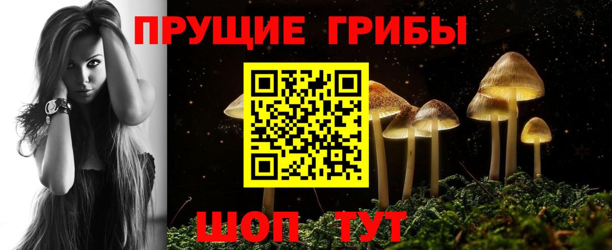 Курган  Галлюциногенные грибы Psilocybe  Вход с VPN 